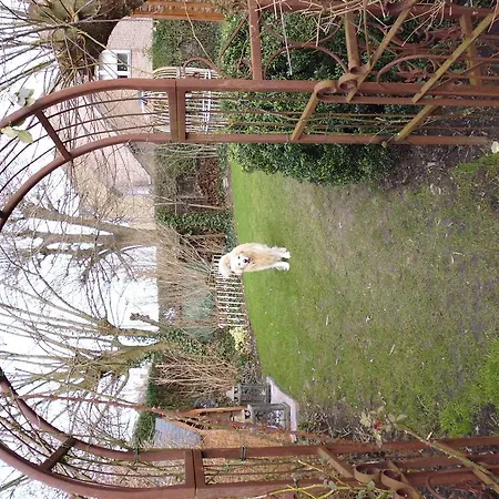 De Vijf Zuilen Bed and breakfast 3*
